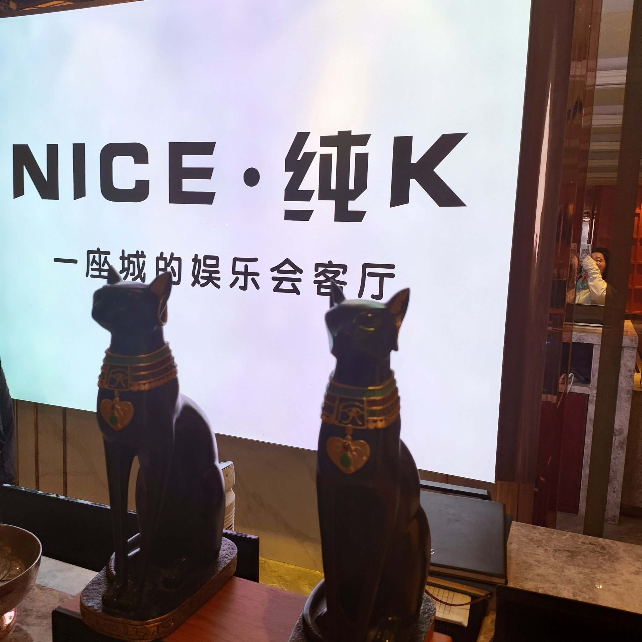 商务ktv新玩法，天津商务ktv今日开启-河西区ktv预定