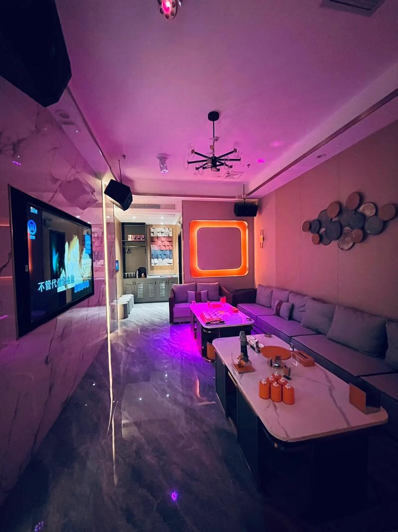 天津商务ktv中低端区别解析-河东区ktv预定
